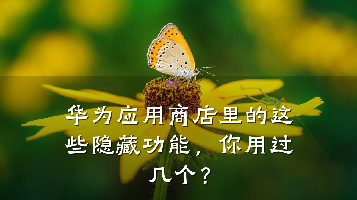 华为应用商店里的这些隐藏功能,你用过几个?