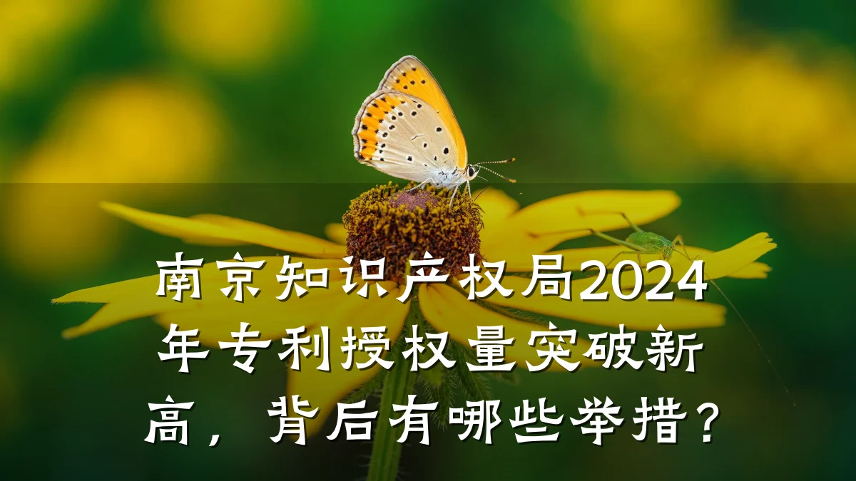 南京知识产权局2024年专利授权量突破新高,背后有哪些举措?