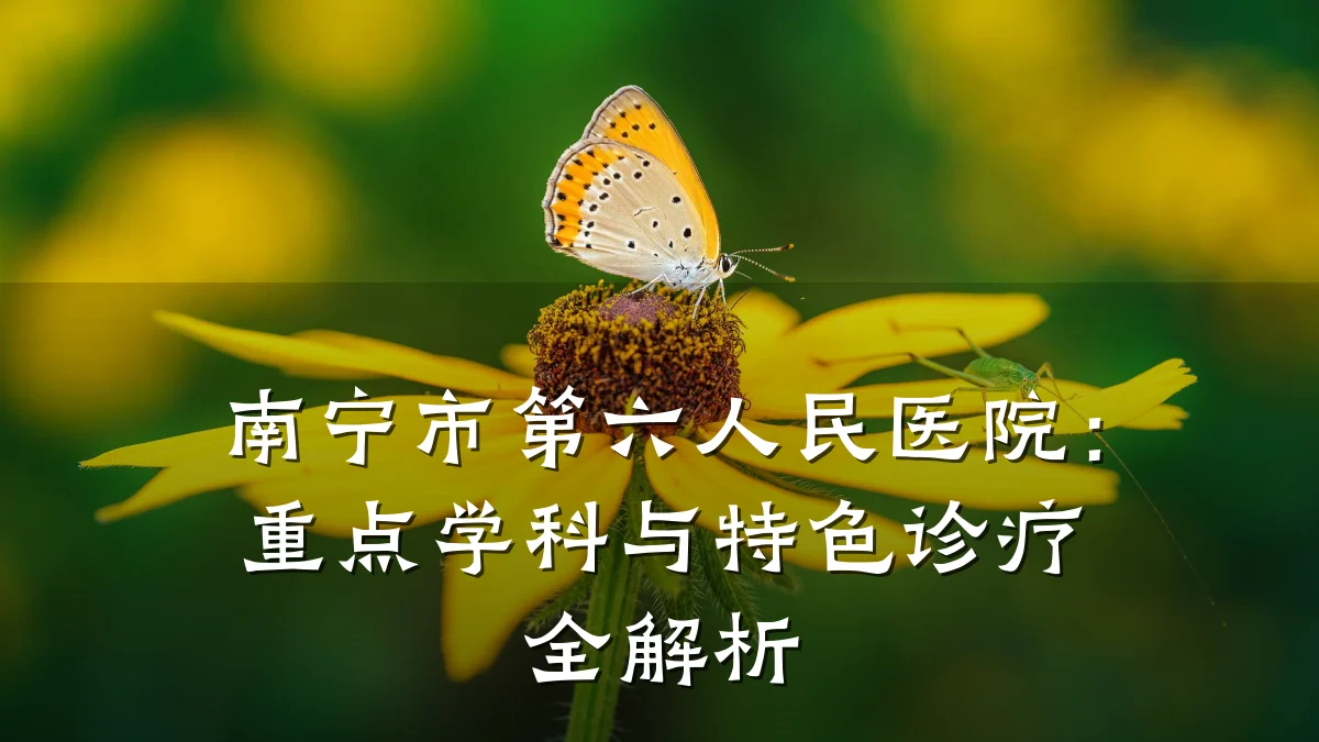 南宁市第六人民医院：重点学科与特色诊疗全解析