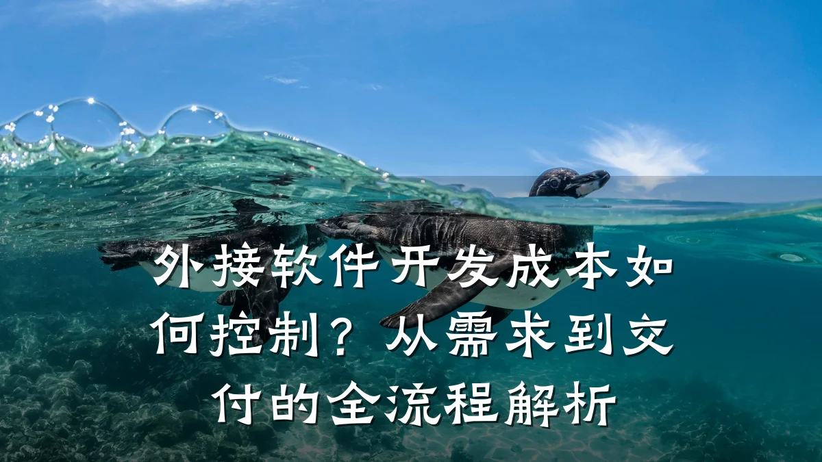 外接软件开发成本如何控制?从需求到交付的全流程解析