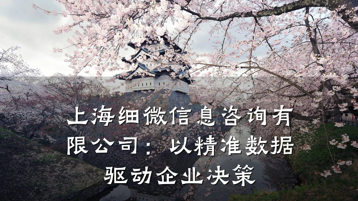 上海细微信息咨询有限公司:以精准数据驱动企业决策