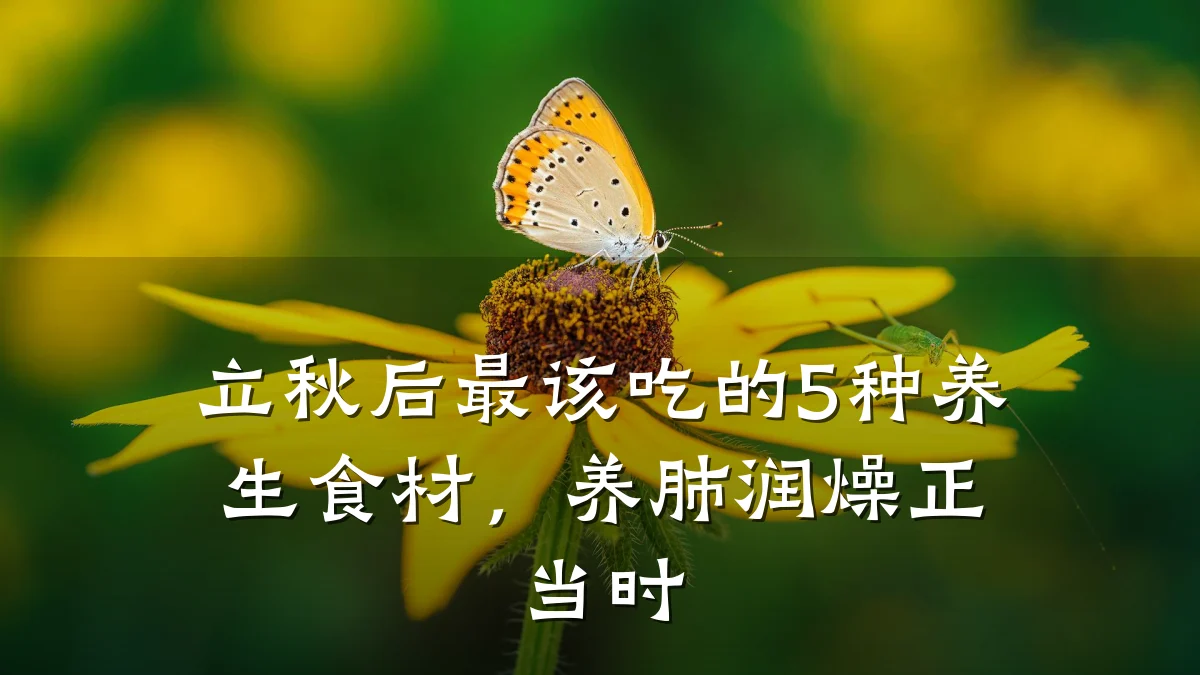 立秋后最该吃的5种养生食材，养肺润燥正当时
