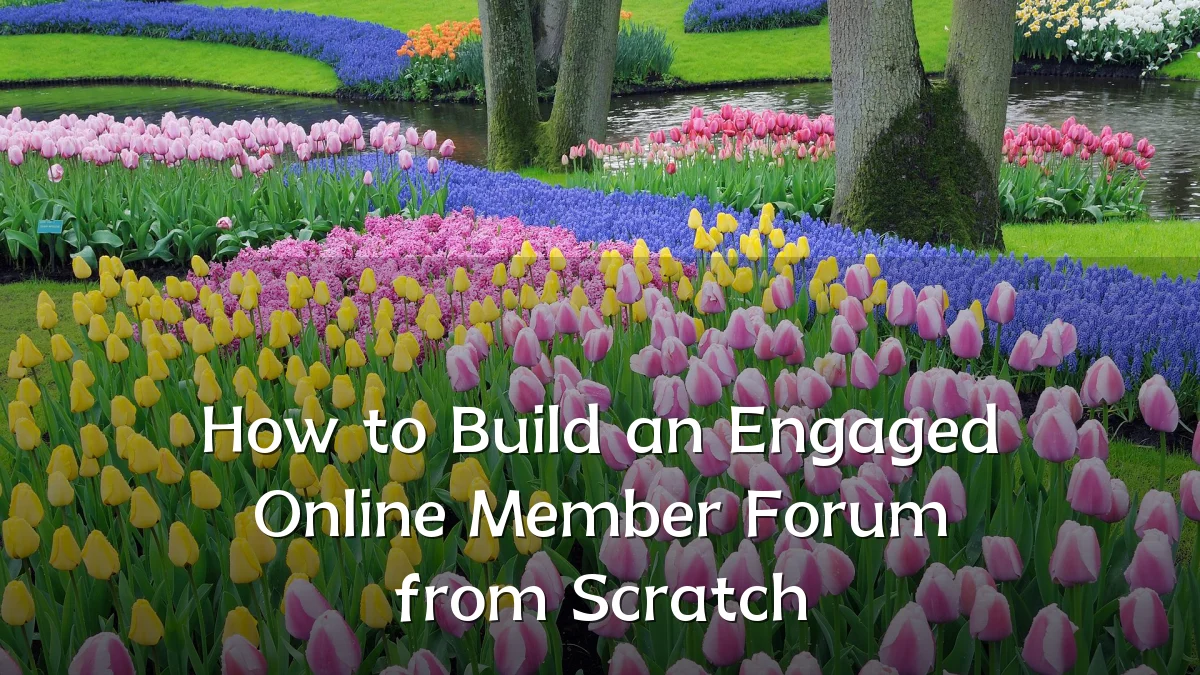 How to Build an Engaged Online Member Forum from Scratch