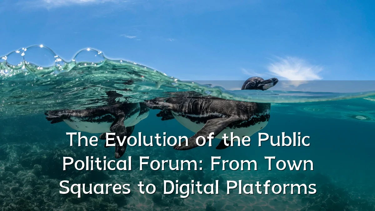 The Evolution of the Public Political Forum: From Town Squares to Digital Platforms