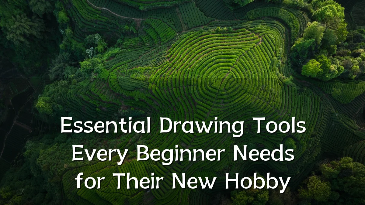 Essential Drawing Tools Every Beginner Needs for Their New Hobby