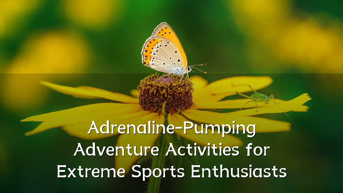 Adrenaline-Pumping Adventure Activities for Extreme Sports Enthusiasts