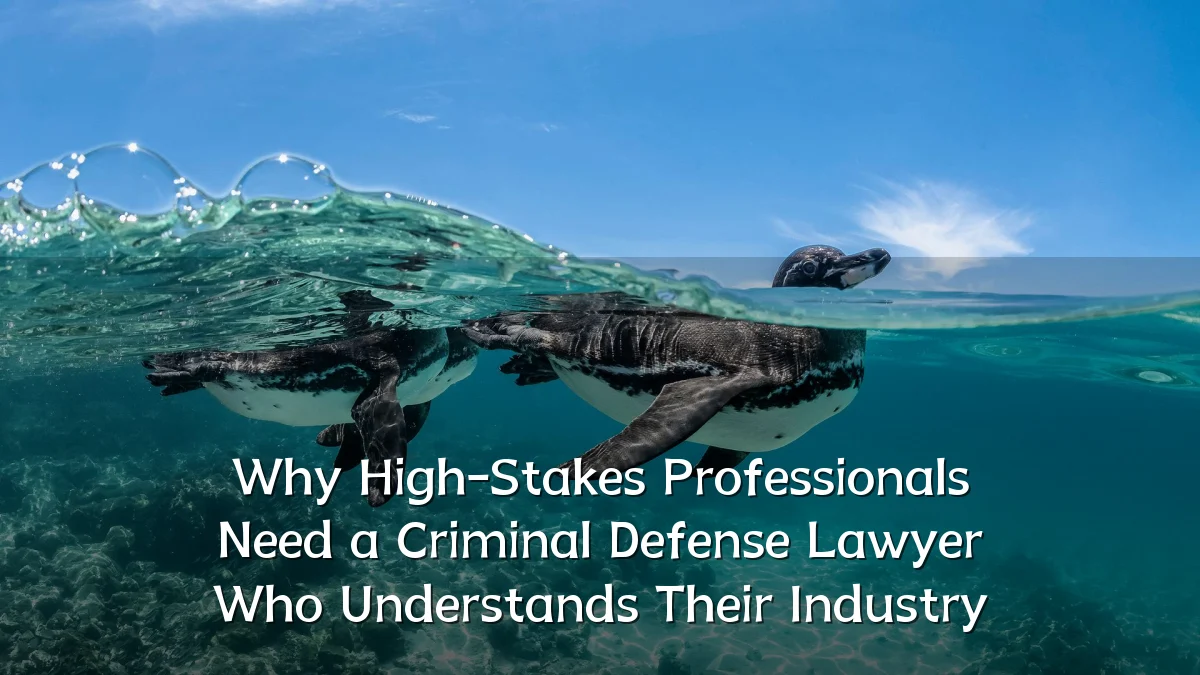Why High-Stakes Professionals Need a Criminal Defense Lawyer Who Understands Their Industry