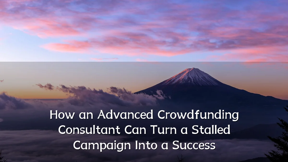How an Advanced Crowdfunding Consultant Can Turn a Stalled Campaign Into a Success