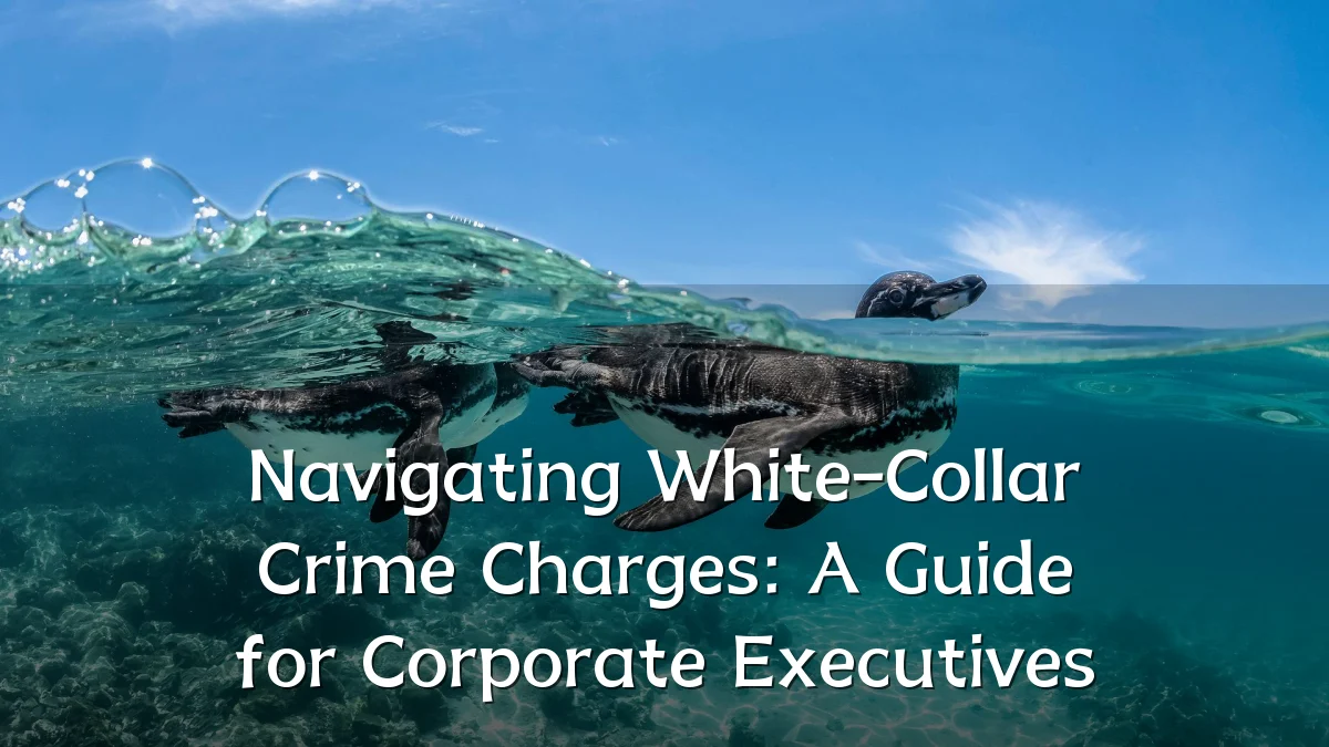 Navigating White-Collar Crime Charges: A Guide for Corporate Executives