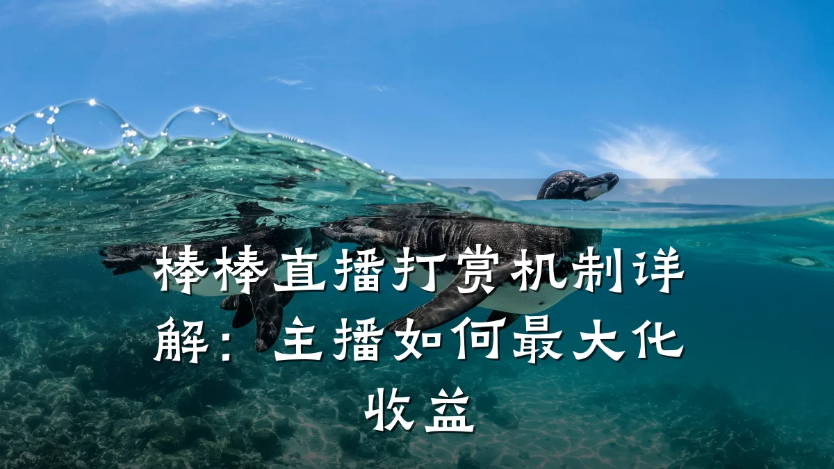 棒棒直播打赏机制详解:主播如何最大化收益