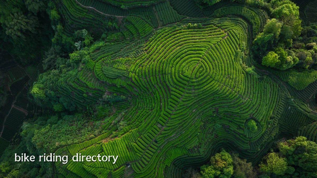 bike riding directory
