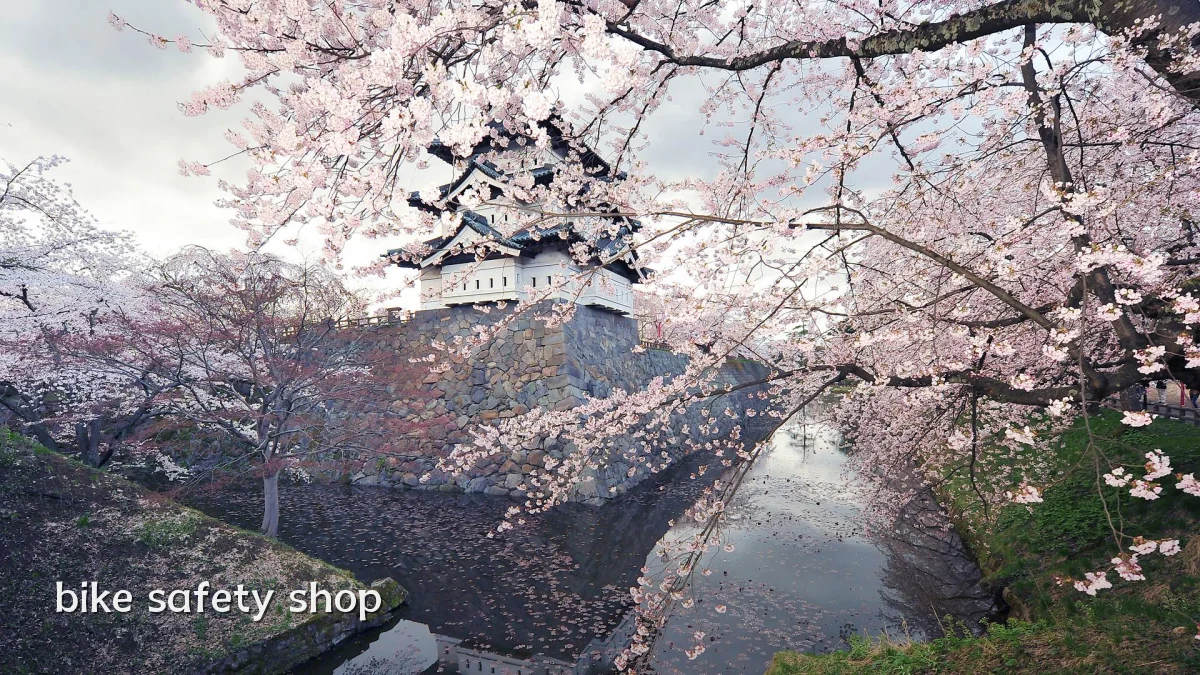 bike safety shop