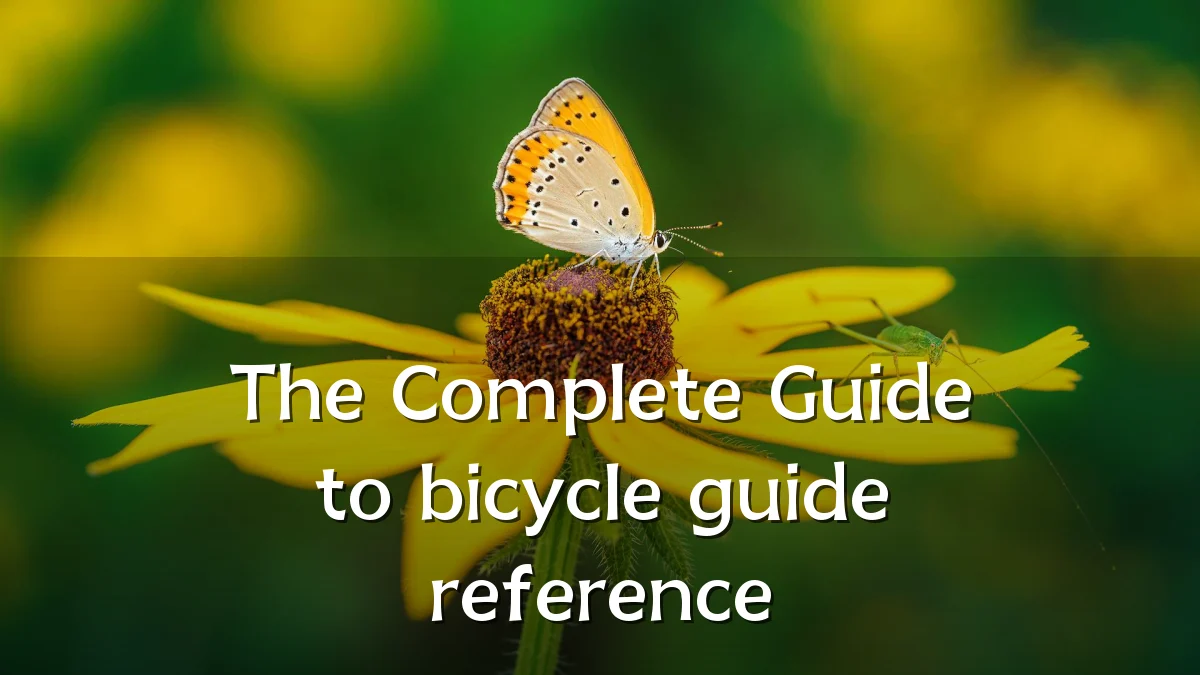 The Complete Guide to bicycle guide reference