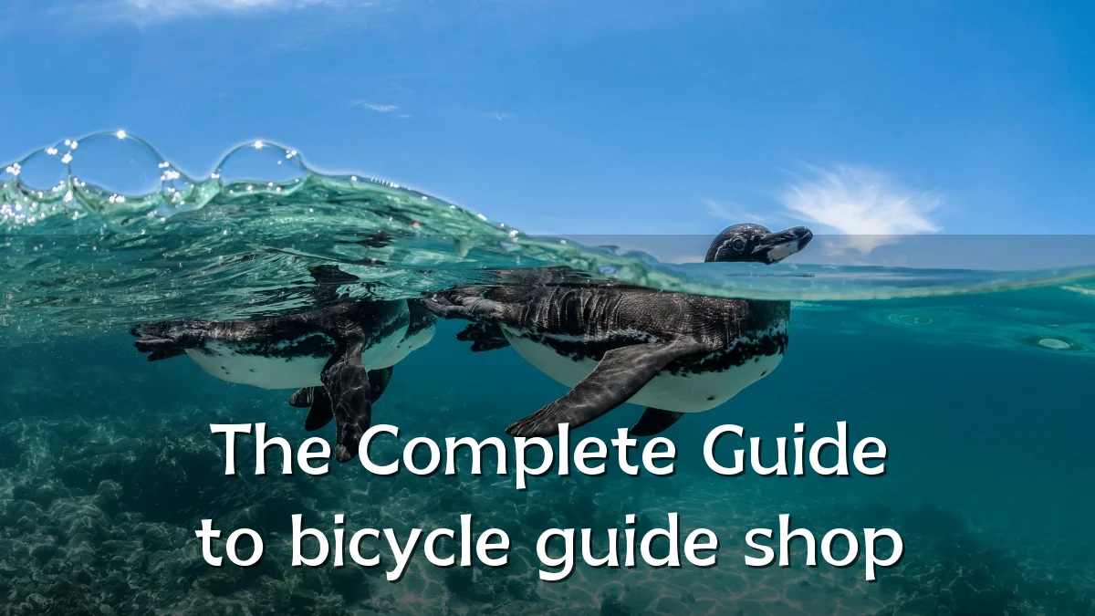 The Complete Guide to bicycle guide shop