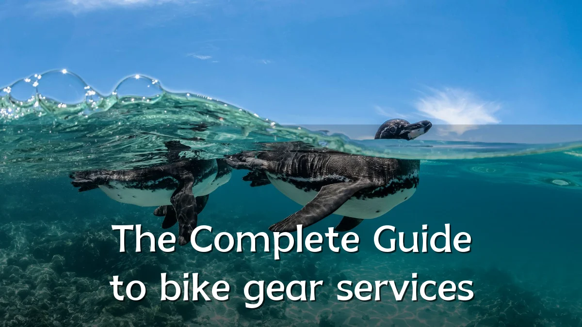 The Complete Guide to bike gear services