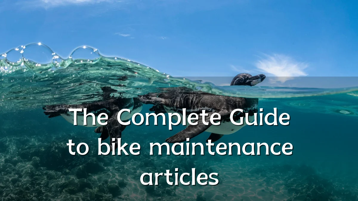 The Complete Guide to bike maintenance articles