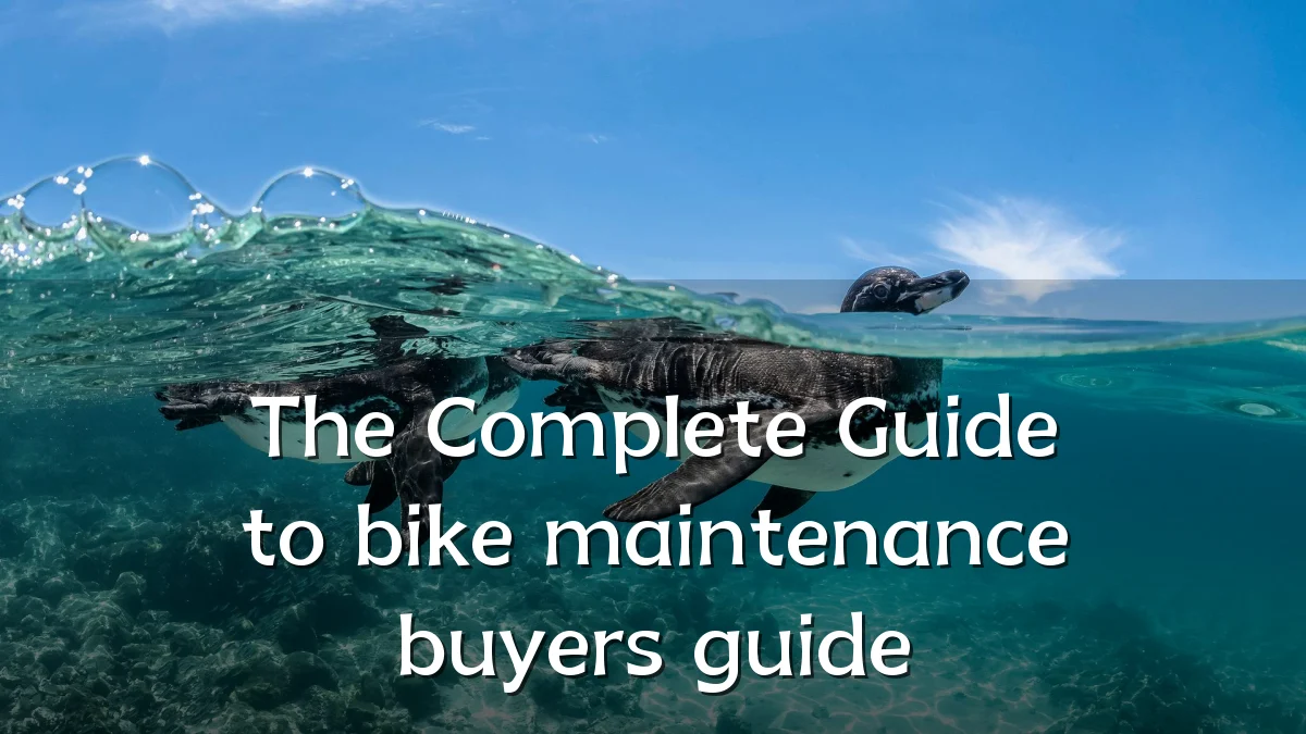The Complete Guide to bike maintenance buyers guide