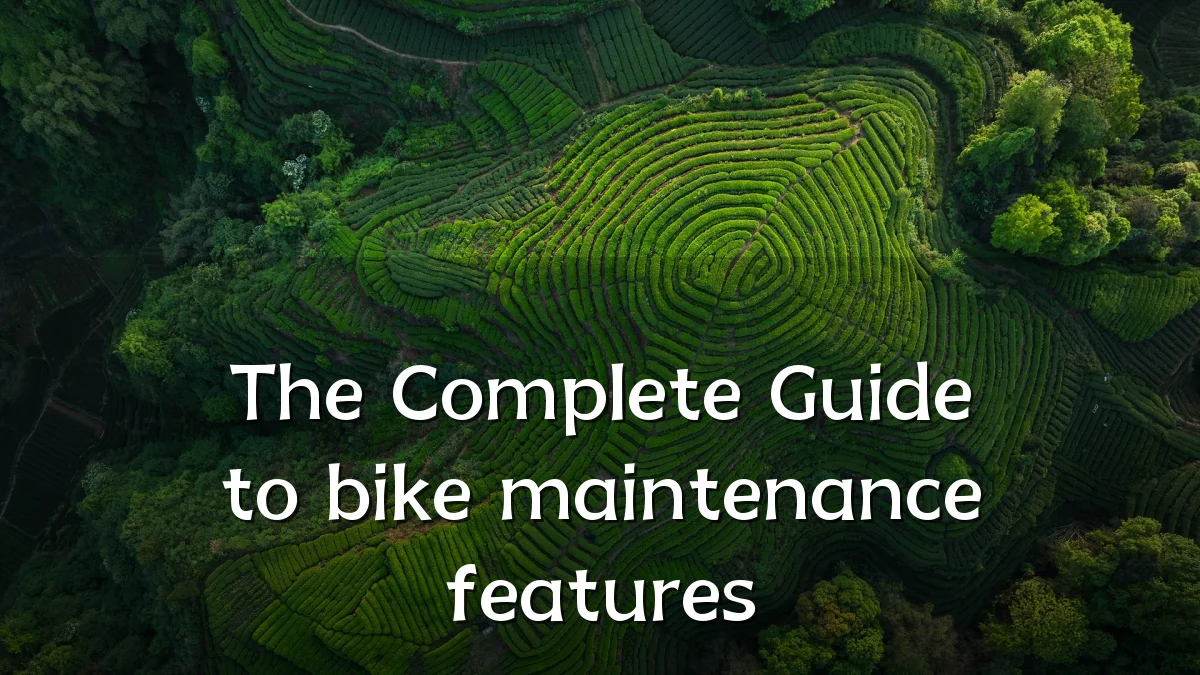 The Complete Guide to bike maintenance features