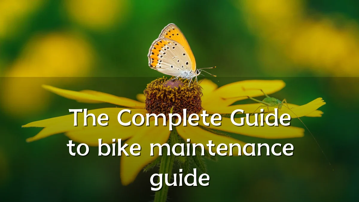 The Complete Guide to bike maintenance guide