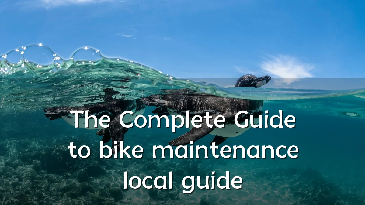 The Complete Guide to bike maintenance local guide