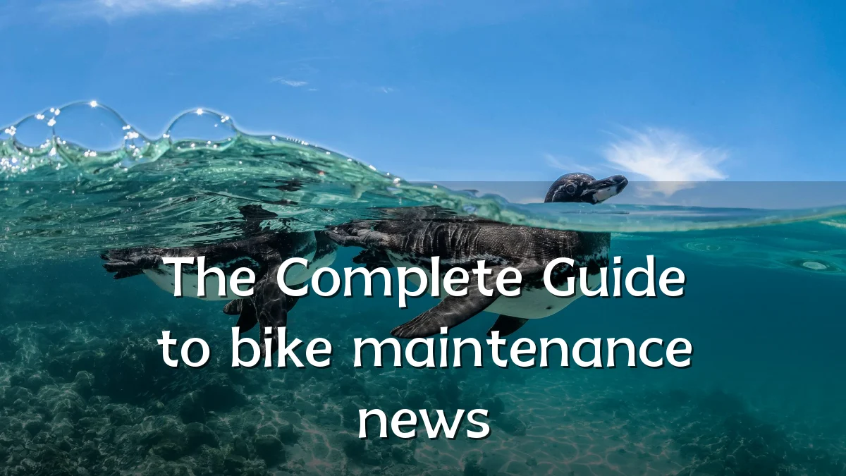 The Complete Guide to bike maintenance news