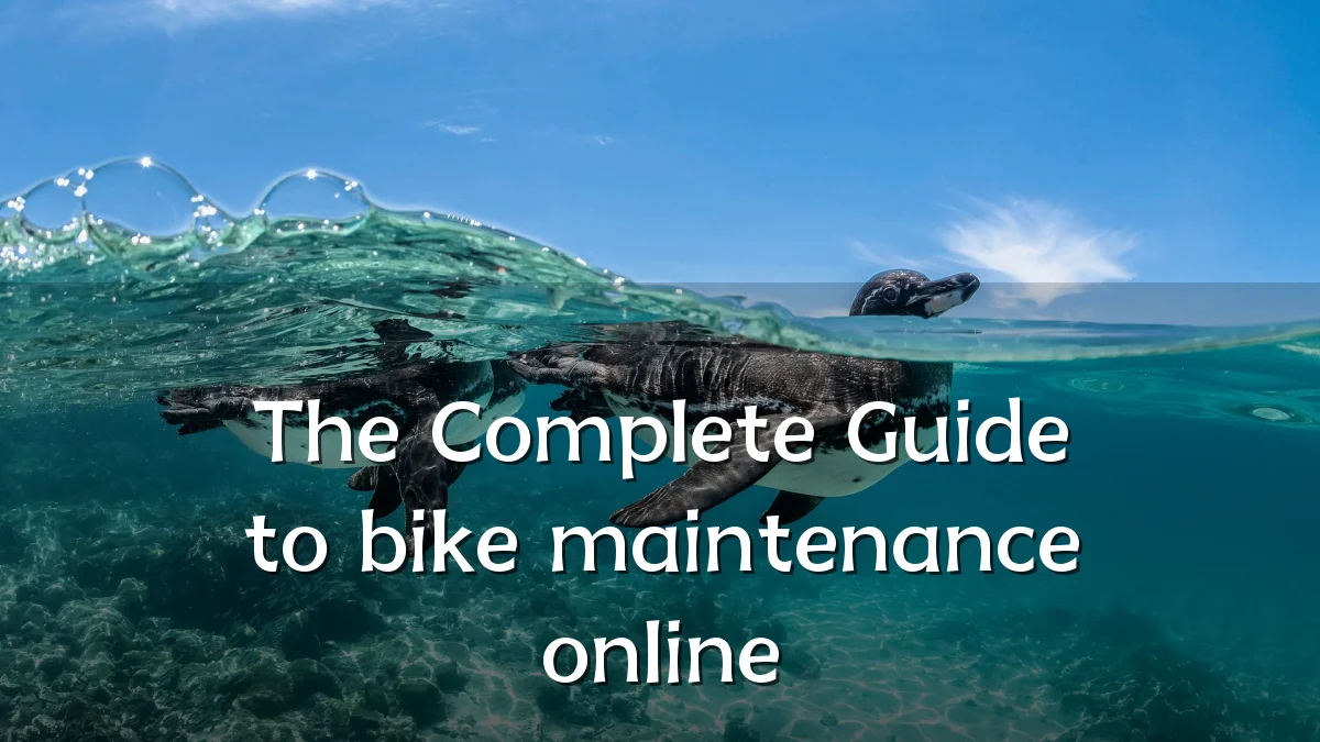 The Complete Guide to bike maintenance online