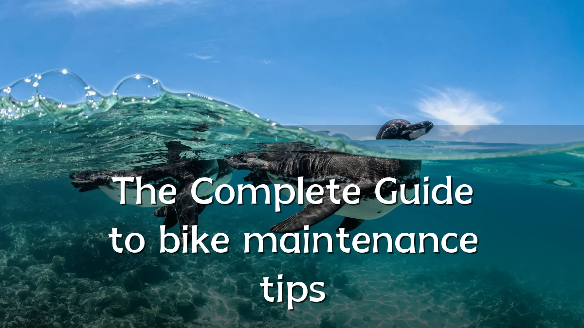 The Complete Guide to bike maintenance tips