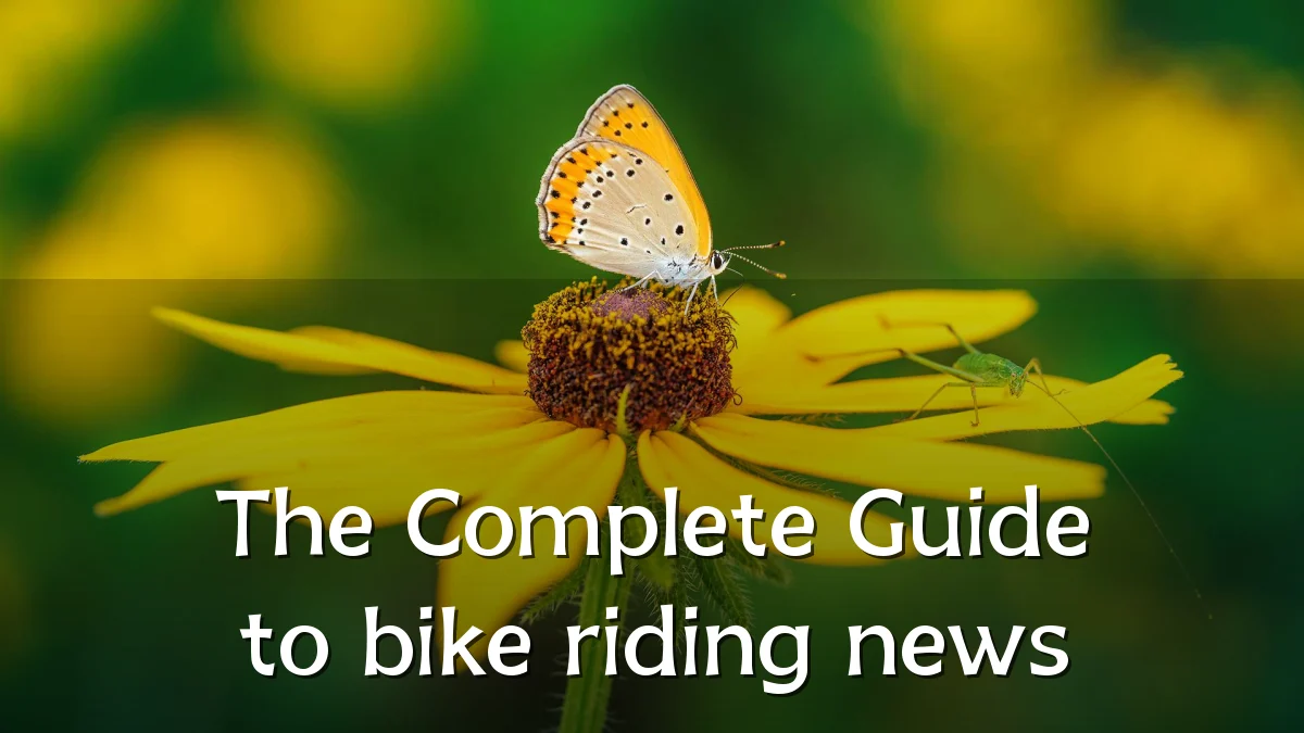 The Complete Guide to bike riding news