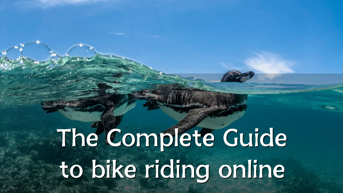 The Complete Guide to bike riding online
