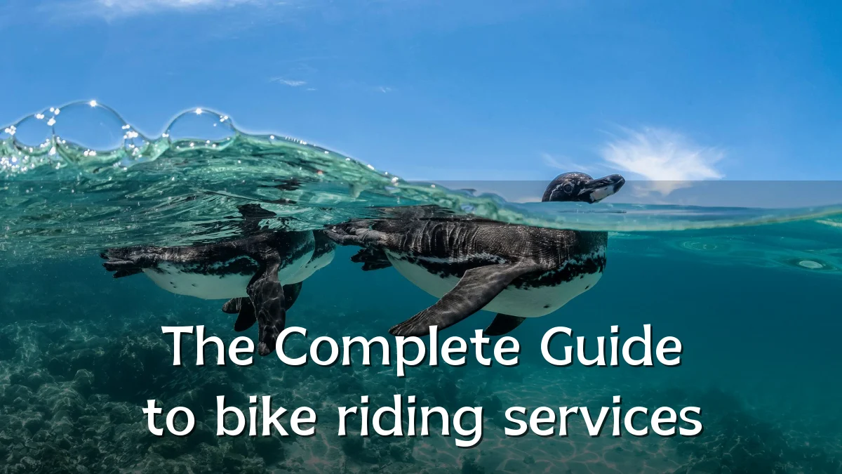 The Complete Guide to bike riding services
