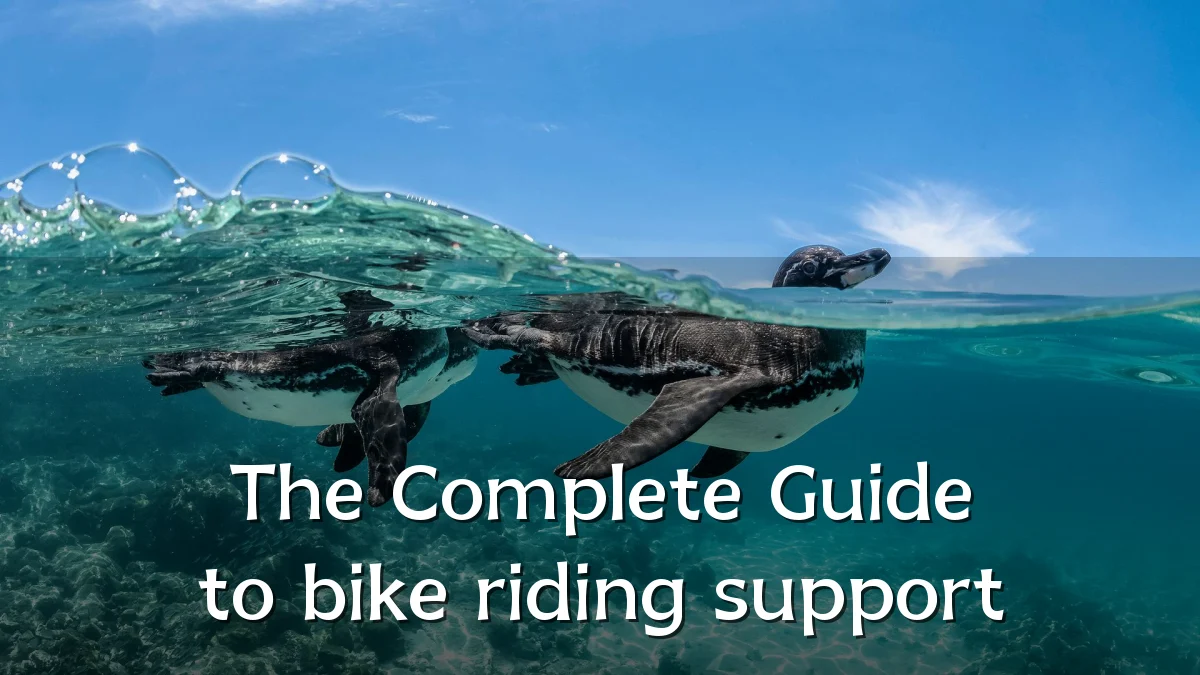 The Complete Guide to bike riding support