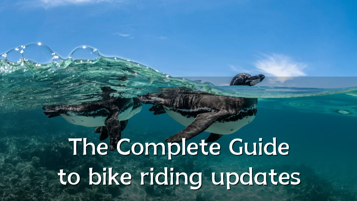 The Complete Guide to bike riding updates