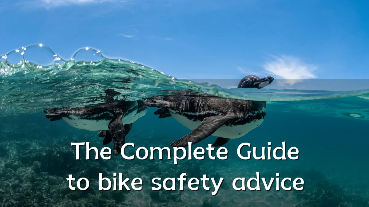 The Complete Guide to bike safety advice