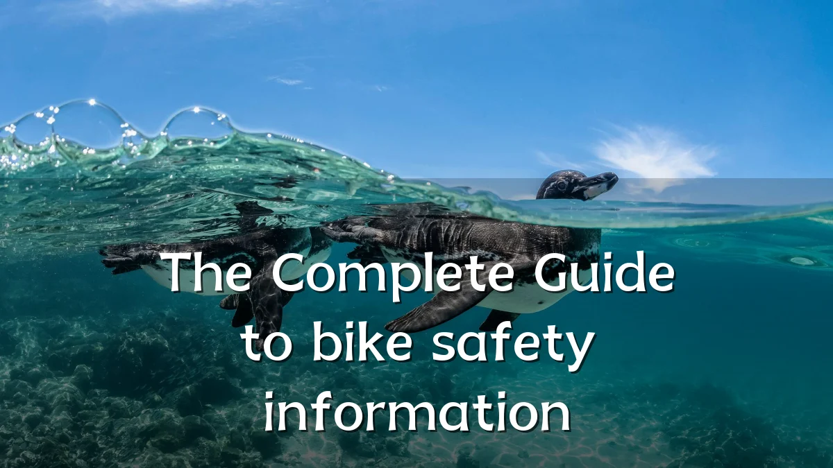 The Complete Guide to bike safety information