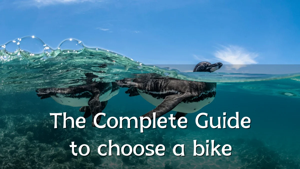 The Complete Guide to choose a bike