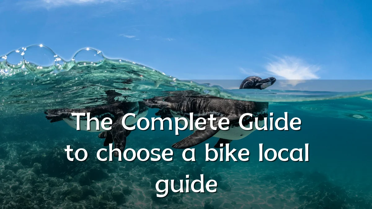 The Complete Guide to choose a bike local guide
