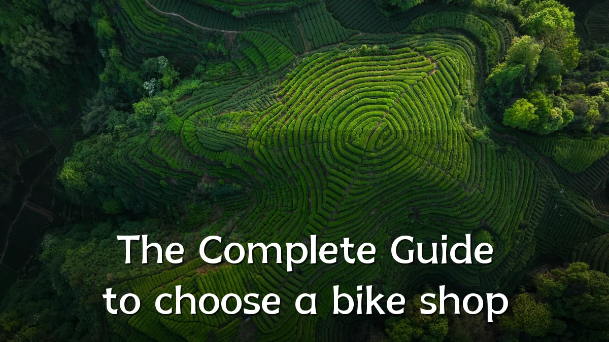The Complete Guide to choose a bike shop