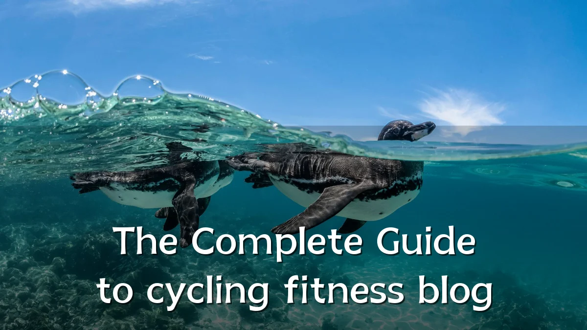 The Complete Guide to cycling fitness blog