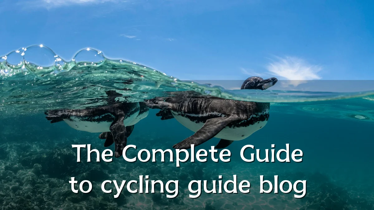The Complete Guide to cycling guide blog