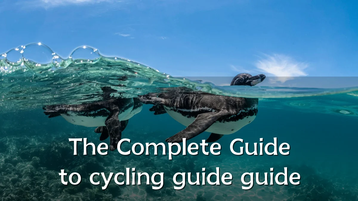 The Complete Guide to cycling guide guide