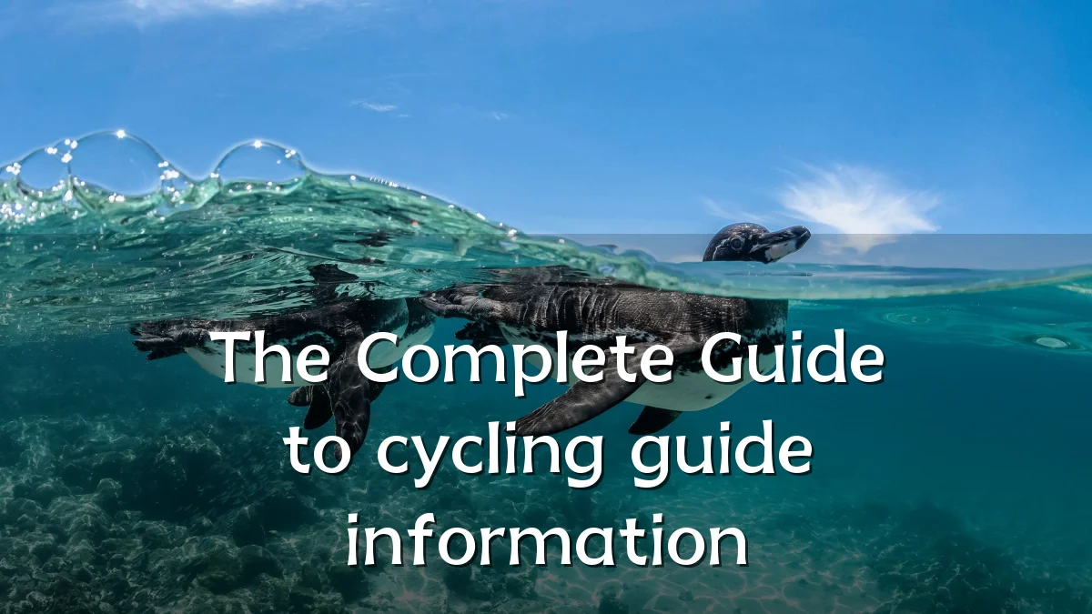 The Complete Guide to cycling guide information