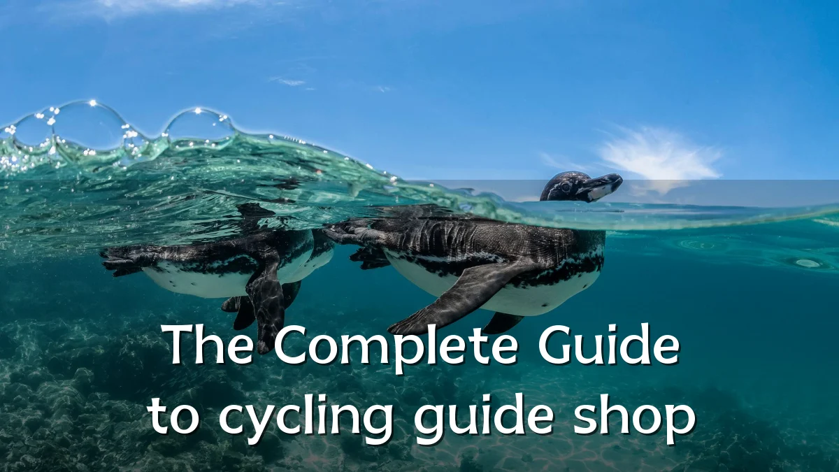 The Complete Guide to cycling guide shop