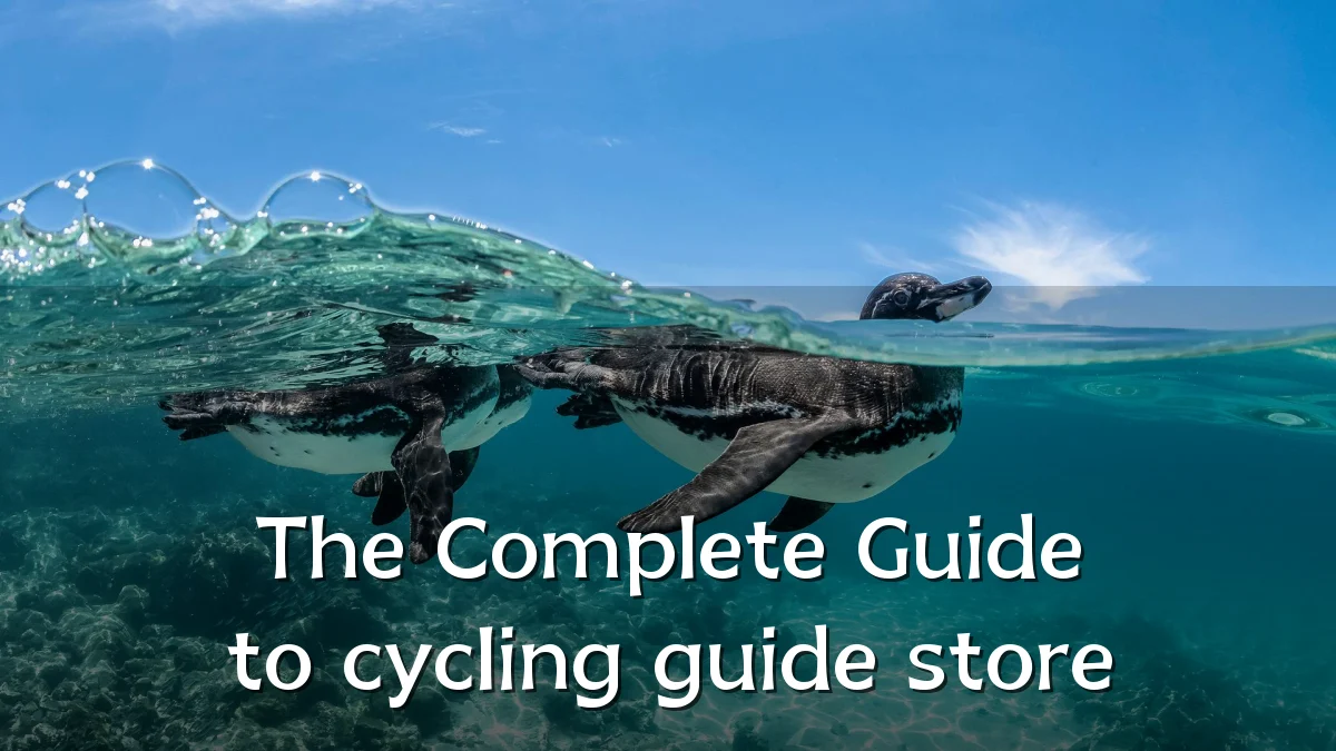The Complete Guide to cycling guide store