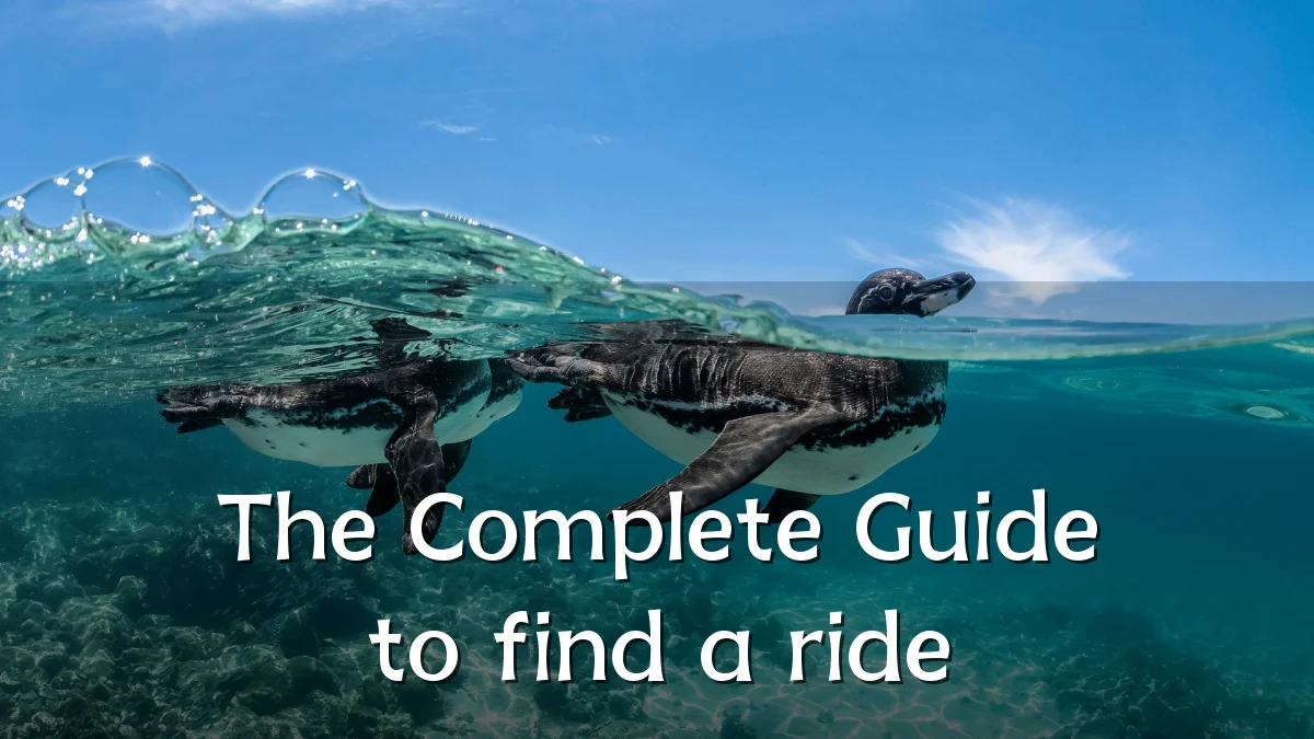 The Complete Guide to find a ride