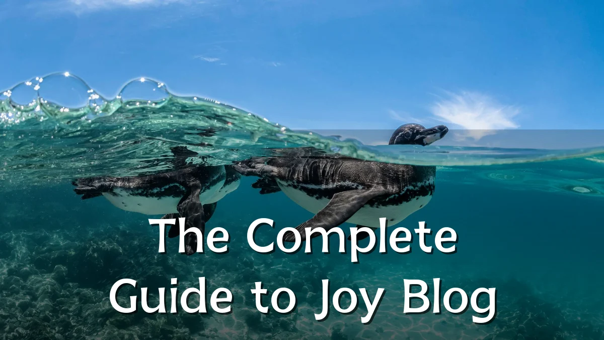 The Complete Guide to Joy Blog