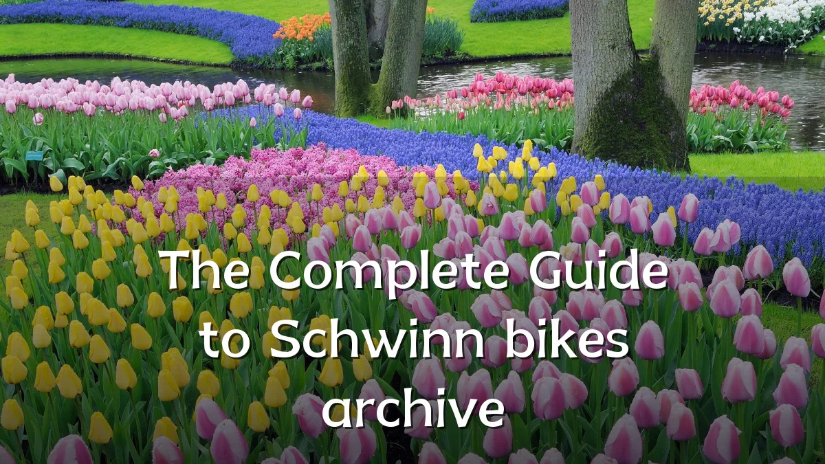 The Complete Guide to Schwinn bikes archive
