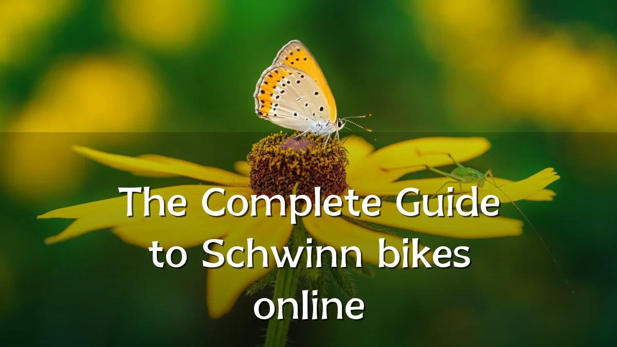 The Complete Guide to Schwinn bikes online