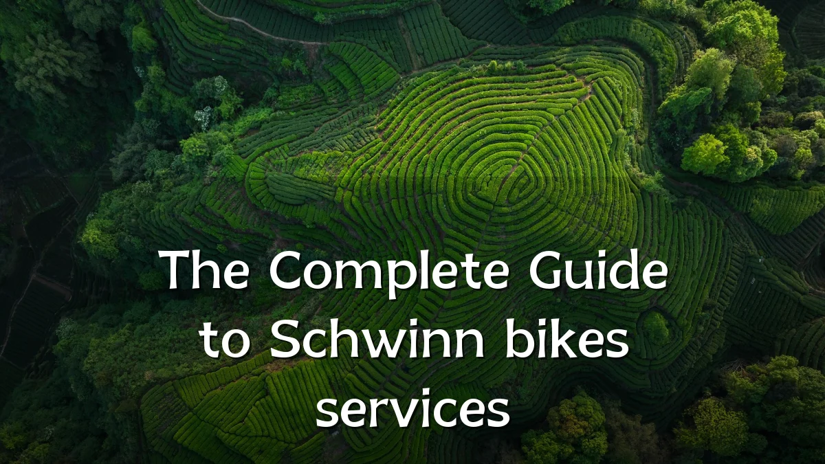 The Complete Guide to Schwinn bikes services