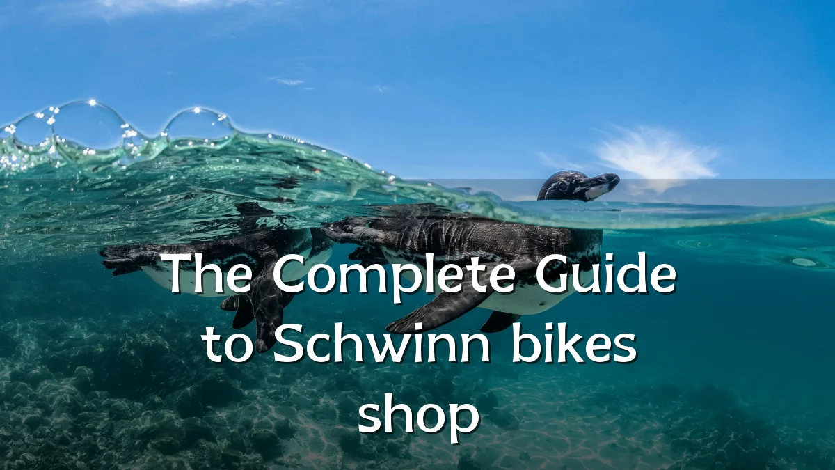 The Complete Guide to Schwinn bikes shop