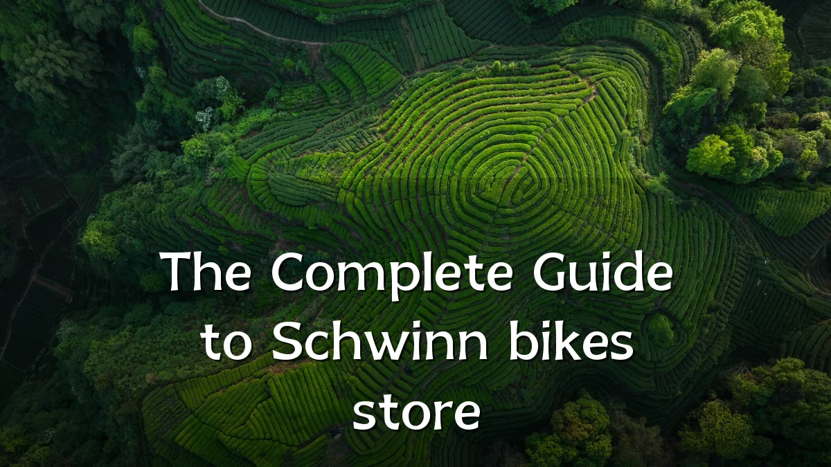 The Complete Guide to Schwinn bikes store